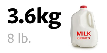 Bottiglia di latte da 3,6 kg
